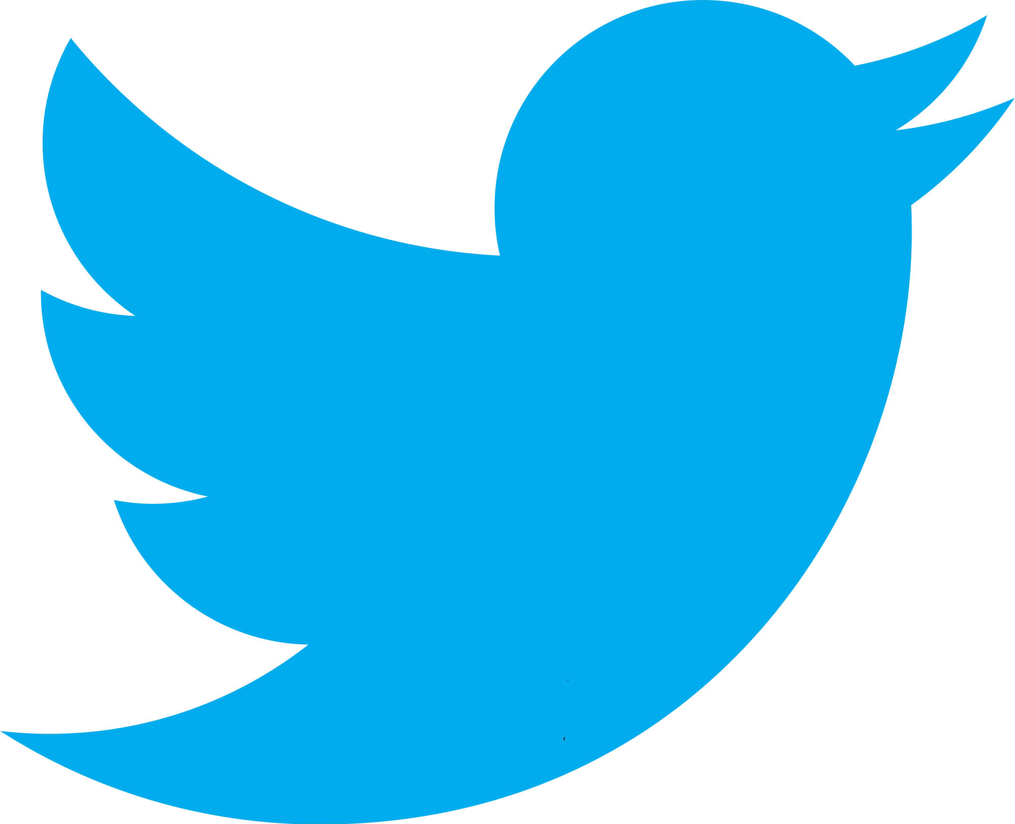 twitter bird icon